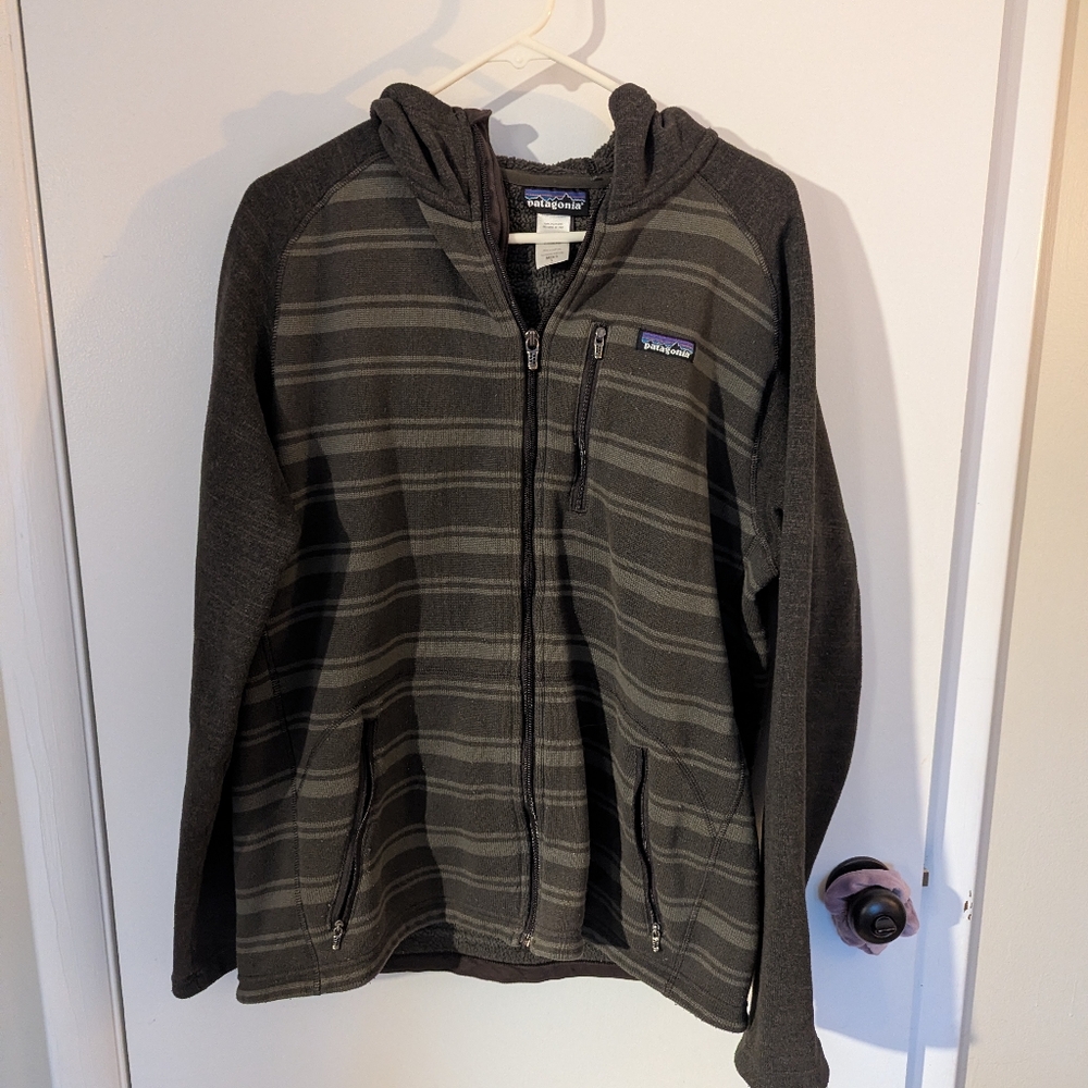 Patagonia Men's Zip Up Hooded Sweater